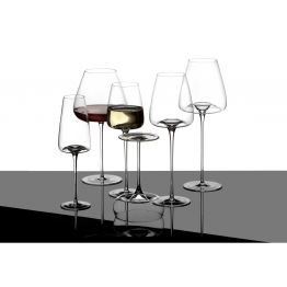 VISION - V t�to �ad� se nerozli�uje mezi �erven�m a b�l�m v�nem. Poh�r jsou prost� zalo�eny na t�matech nebo charakterech. N�zvy sklenic jasn� vysv�tluj�, pro co jsou pou��v�ny. Intuitivn� se tak dostanete ke sklu, kter� p�edstavuje chu� v�na, kterou chcete nejl�pe zd�raznit.  Chcete-li, aby mohutn� v�no bylo harmoni�t�j�� nebo dychtiv�j�� a �erstv�j��, vyberte si sklo s p��slu�n�m ozna�en�m. Pro v�ce informaci : https://www.youtube.com/watch?v=cMXUSSr--7Q